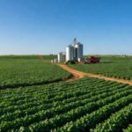 Plantação de soja no Brasil com silos e maquinário, representando inovação em fusões e aquisições no agro.