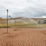 Lavoura de arroz no RS com irrigação contra secas, paisagem rural gaúcha.