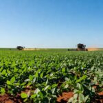 Plantação de soja no interior do Brasil, ilustrando o Prêmio Personagem Soja Brasil 2025/2026.