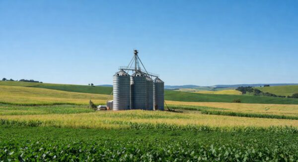 Silos agrícolas em Tamarana, Paraná, representando venda de unidade de sementes para Coamo.