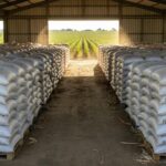 Armazém com sacos de fertilizantes no Brasil, ilustrando liberação de reservas chinesas contra escassez global por conflito no Oriente Médio.