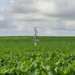Plantação de soja no Centro-Oeste brasileiro com estação meteorológica para otimização da produção.