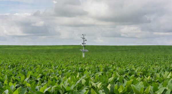 Plantação de soja no Centro-Oeste brasileiro com estação meteorológica para otimização da produção.
