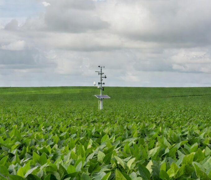 Plantação de soja no Centro-Oeste brasileiro com estação meteorológica para otimização da produção.