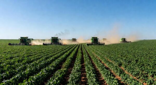 Plantação de soja no Mato Grosso, Brasil, com campos verdes e colheitadeiras ao fundo.