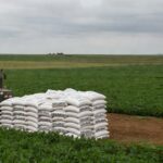 Lavoura de soja no Brasil com sacos de fertilizantes, ilustrando alerta sobre preços elevados devido à guerra no Oriente Médio.