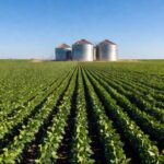 Campos de soja no Brasil com silos, ilustrando faturamento e investimentos em commodities agrícolas.