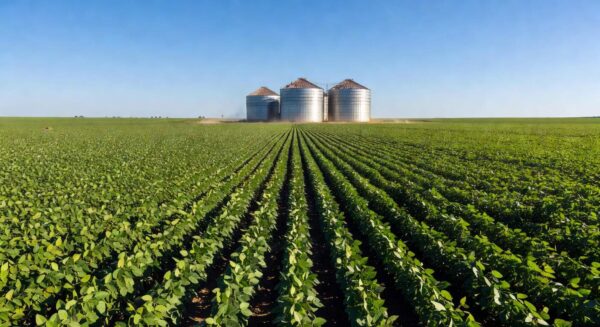 Campos de soja no Brasil com silos, ilustrando faturamento e investimentos em commodities agrícolas.