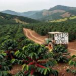 Plantação de café em Minas Gerais com trator agrícola, ilustrando impactos nos custos da safra devido à alta no diesel.