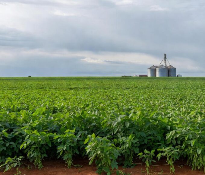 Plantação de soja no Brasil com campos verdes e silos ao fundo, ilustrando mercado estável apesar de volatilidade externa.