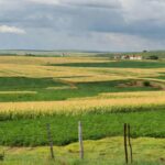 Campos agrícolas no Brasil representando debate sobre compra de terras por estrangeiros, com placar no STF pela inconstitucionalidade.