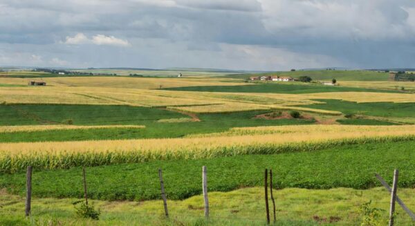 Campos agrícolas no Brasil representando debate sobre compra de terras por estrangeiros, com placar no STF pela inconstitucionalidade.