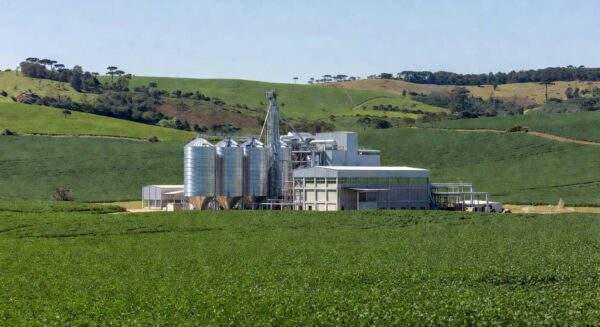 Fábrica de soja da Cooperativa Tradição em Pato Branco, com campos de cultivo ao redor.