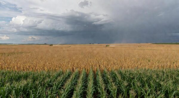 Paisagem rural brasileira com lavouras de soja e milho, representando projeção do VBP agropecuário pela CNA para 2026.