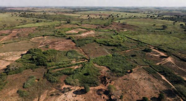Vista aérea de terras abandonadas no Matopiba, identificadas por IA e satélites pela Embrapa e UnB.