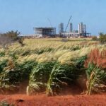 Plantação de milho e sorgo com usina de etanol ao fundo no Piauí, Brasil.