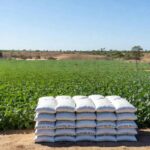 Plantação de soja no Brasil com sacos de fertilizantes, representando recomendação de suspensão de compras pelo Ministro da Agricultura.