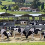 Foto: JM Alvarenga/Divulgação