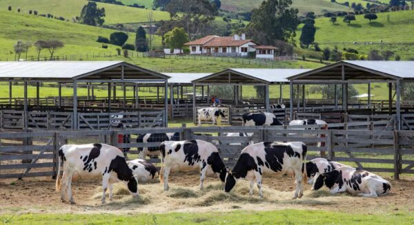 Foto: JM Alvarenga/Divulgação