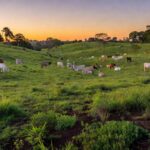 Foto: Armindo Barth Neto/Divulgação