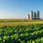 Cargill suspende exportações de soja para China por mudanças em inspeções