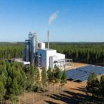 Foto Divulgação/Suzano