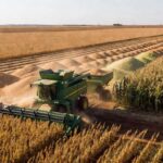 Capacidade de armazenagem de grãos da Capal é de aproximadamente 745 mil toneladas / Crédito: Valderi José Maria