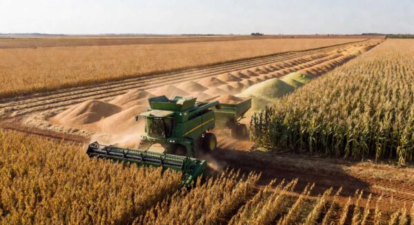 Capacidade de armazenagem de grãos da Capal é de aproximadamente 745 mil toneladas / Crédito: Valderi José Maria