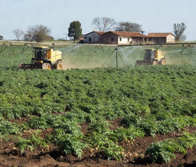 Sérgio Soczek, produtor em Palmas (PR), colhe as primeiras batatas cultivadas com fertilizante de baixíssimo carbono (Foto: Diego Feletti)