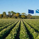 Conselheiro de comércio da Delegação da União Europeia (UE) em Brasília, Damian Vicente Lluna; Foto: Divulgação