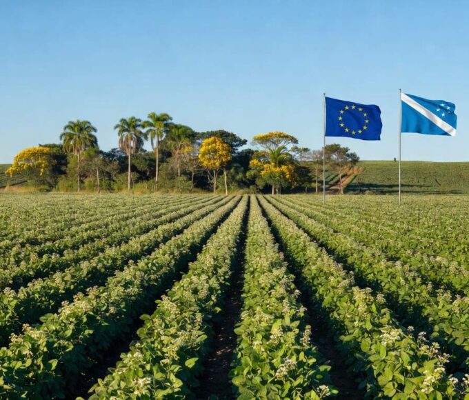 Conselheiro de comércio da Delegação da União Europeia (UE) em Brasília, Damian Vicente Lluna; Foto: Divulgação