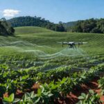 Imagem de plantação agrícola no Brasil com drone para geoprocessamento e IA no aprimoramento do CAR.