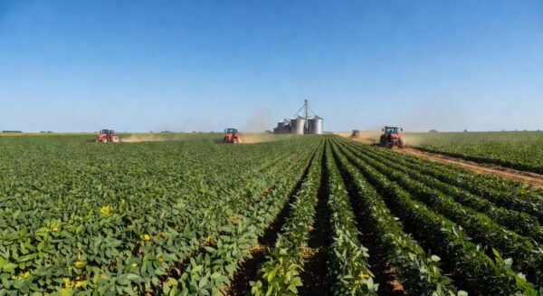 Plantação de soja no Brasil, com campos verdes e silos ao fundo, representando disputa por royalties.